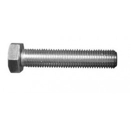 Bultskrūve DIN933 ZN12x50mm
